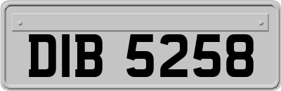 DIB5258