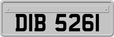 DIB5261