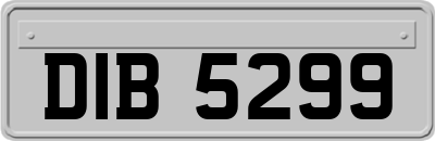 DIB5299