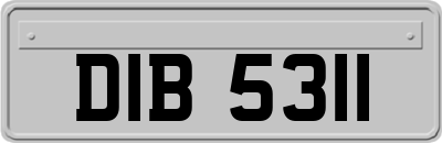 DIB5311