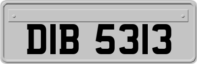 DIB5313