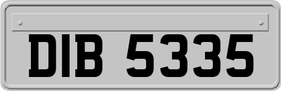 DIB5335