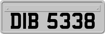 DIB5338