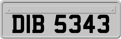 DIB5343