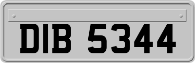 DIB5344