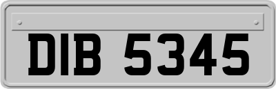 DIB5345