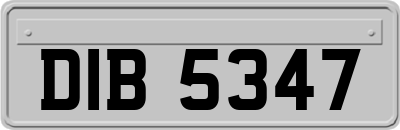 DIB5347
