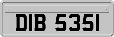 DIB5351
