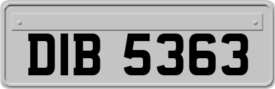 DIB5363