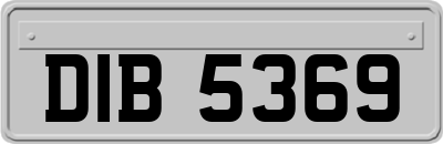 DIB5369