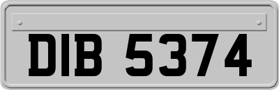 DIB5374