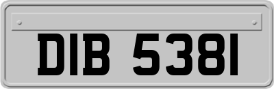DIB5381