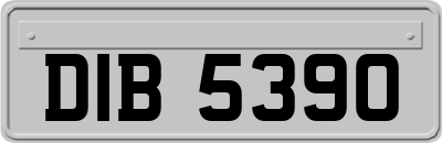 DIB5390
