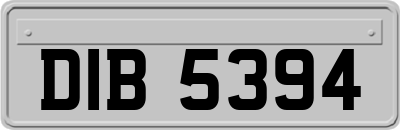 DIB5394