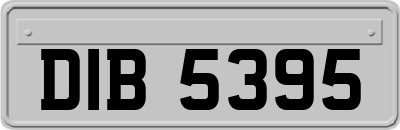 DIB5395