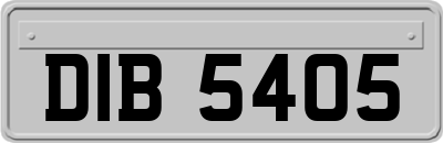 DIB5405