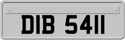 DIB5411