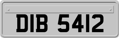 DIB5412