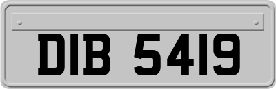 DIB5419