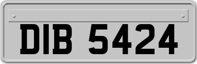 DIB5424