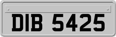 DIB5425