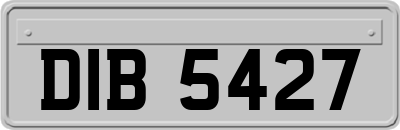 DIB5427