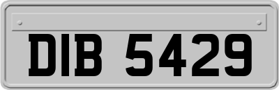 DIB5429