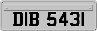 DIB5431