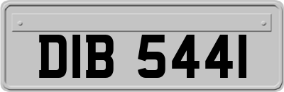 DIB5441