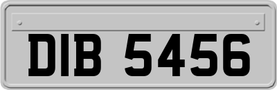 DIB5456
