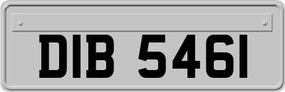 DIB5461