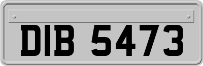 DIB5473