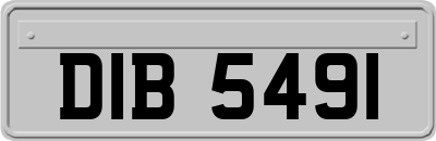 DIB5491