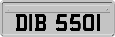 DIB5501