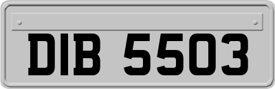 DIB5503