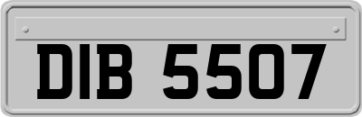 DIB5507