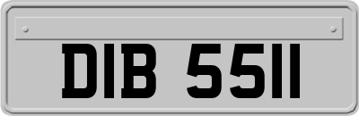 DIB5511