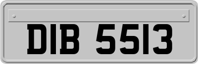 DIB5513