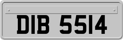DIB5514