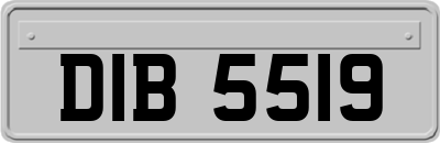 DIB5519