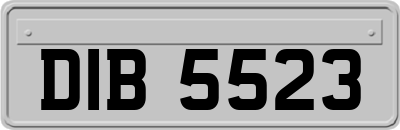 DIB5523