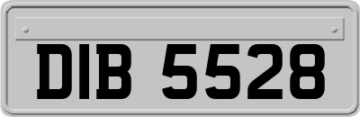DIB5528