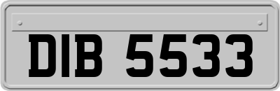 DIB5533