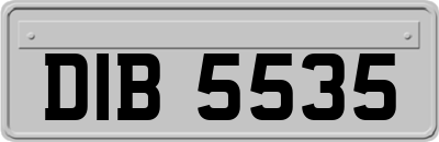 DIB5535