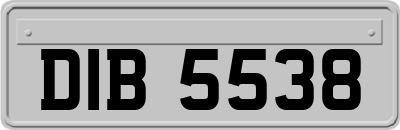 DIB5538