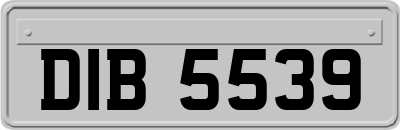 DIB5539