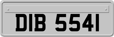 DIB5541