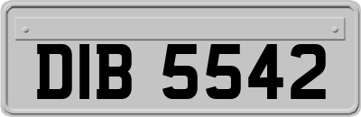 DIB5542