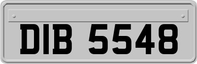 DIB5548