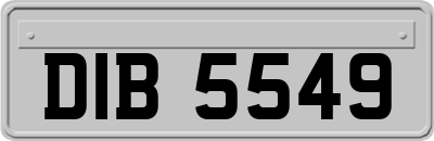 DIB5549